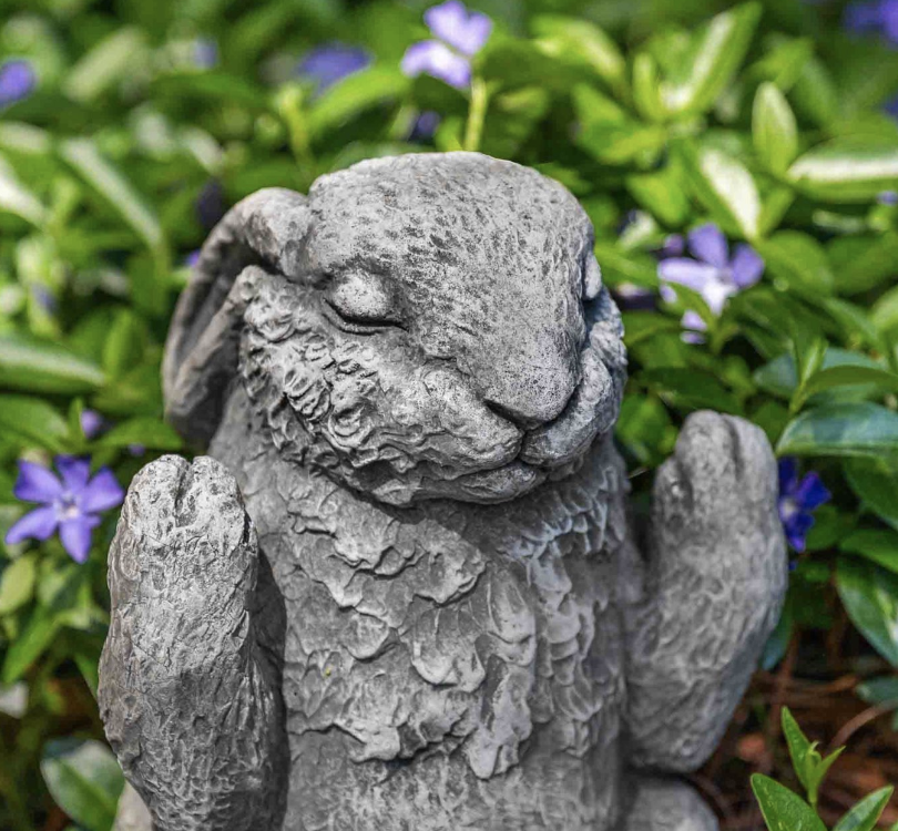 Meditation Bunny - AS