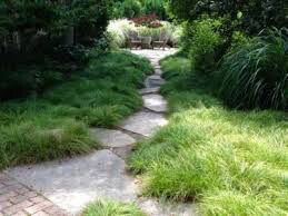 Carex Grass Pensylvanica 1 qt.