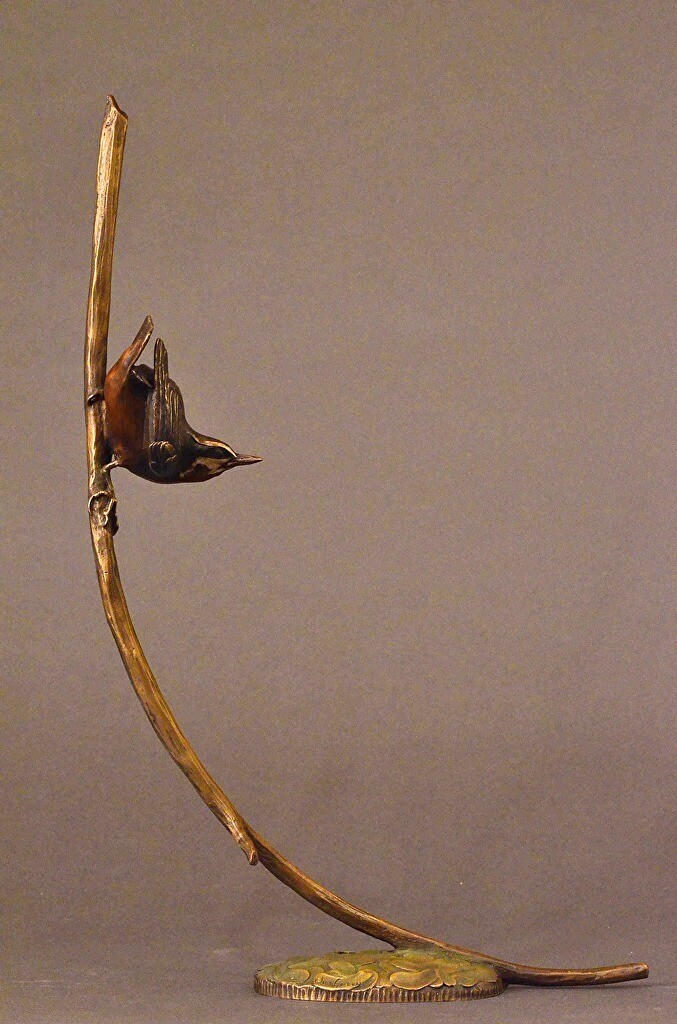 Nuthatch Down the Upstairs