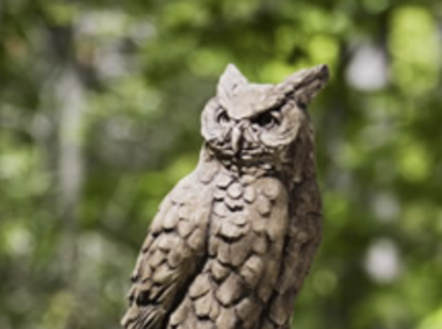 Large Horned Owl BR
