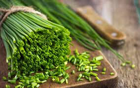 Chives Organic 1 Gallon