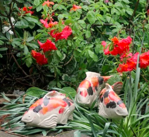 Koi in the Garden - Large Kohaku Right
