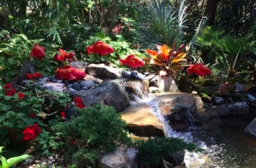 Koi in the Garden - Large Salsa Right