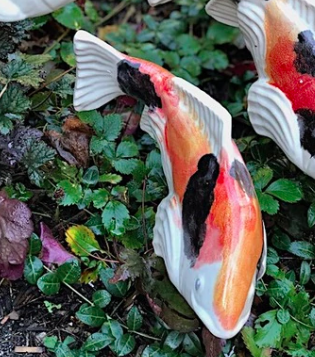 Koi in the Garden - Medium Kohaku Left