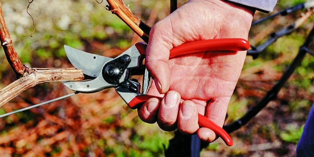 Pruner Felco 2