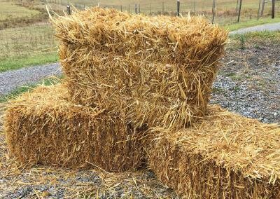 Hay Bale 16”x20”x36”