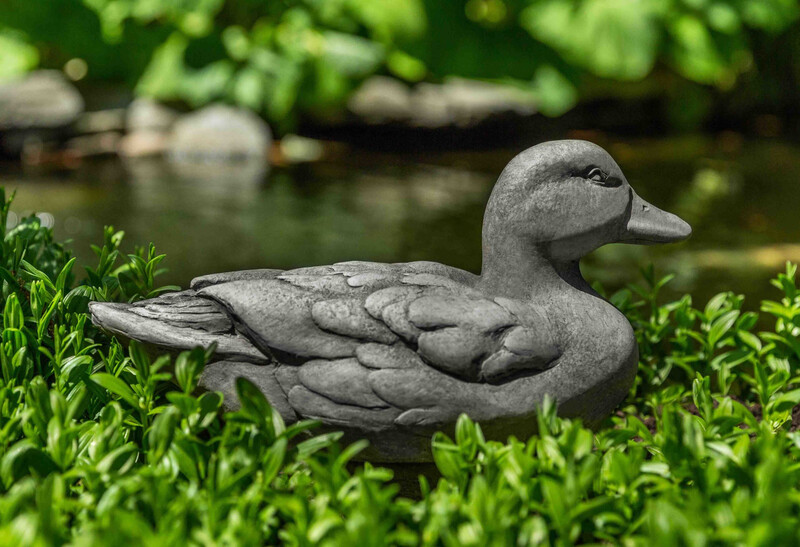 Decoy Duck (PN)