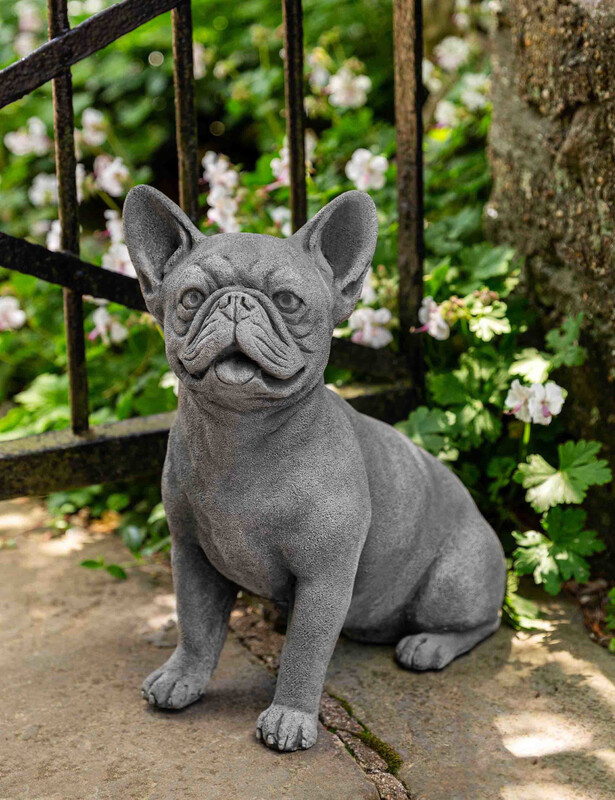 Frenchie AS