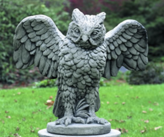 Soaring Owl (FN)