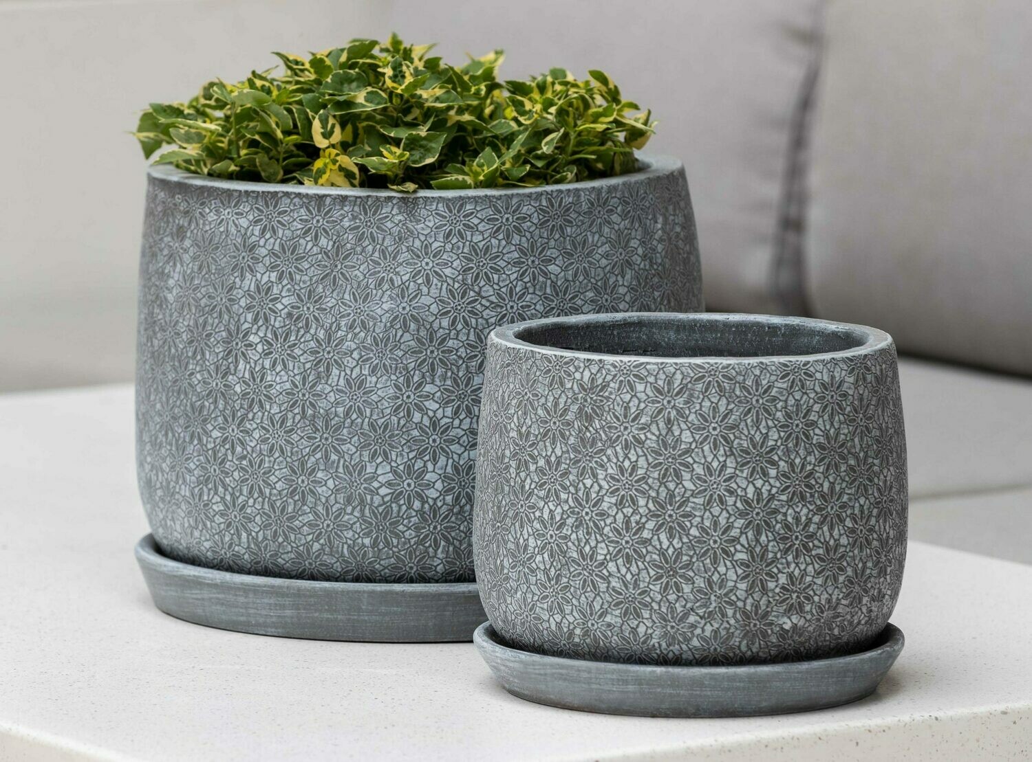 Small Marguerite Large Round Planter - Etched Grey