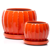 Ball Cactus w/ Attached Saucer, Poppy - Large