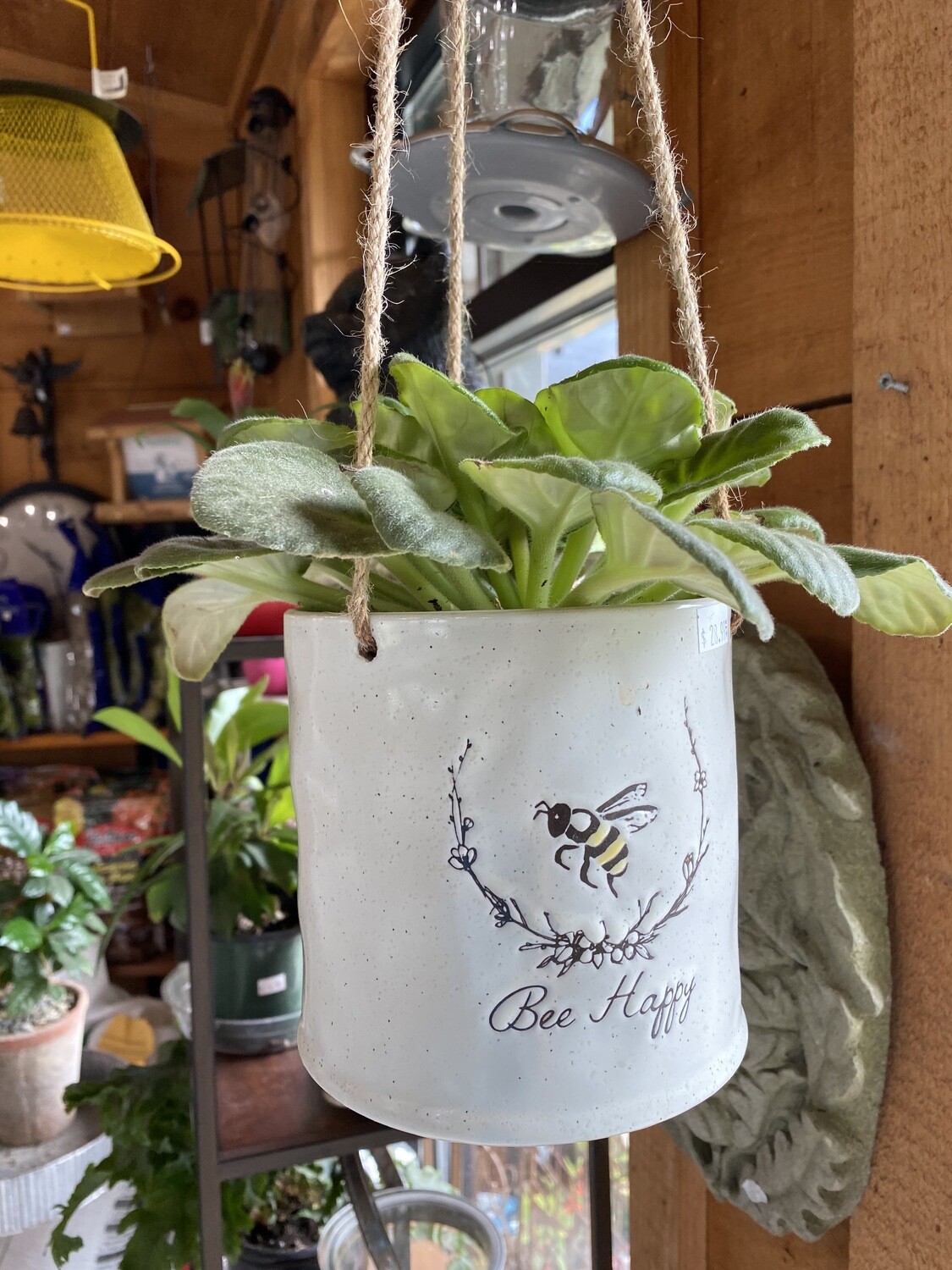 Bee Happy Hanging Planter 5&quot;