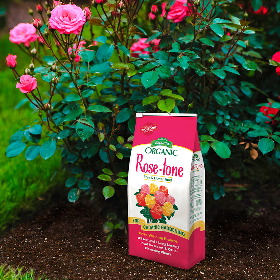 Rose Tone - 4 lb