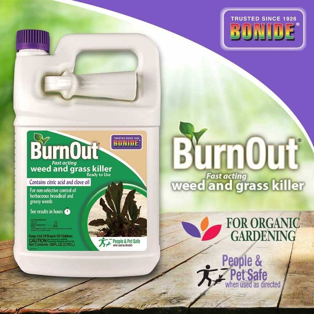 Burn Out Concentrate  2.5 gal.