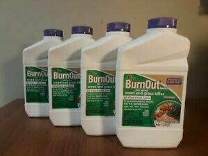 Burn Out 32 oz. concentrate