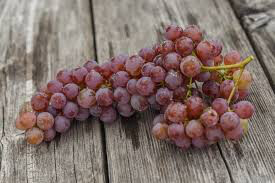 Vitis labrusca &#39;Canadice&#39; 2 gal