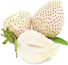 Strawberry 'Wonderful Pineberry' 1 gal