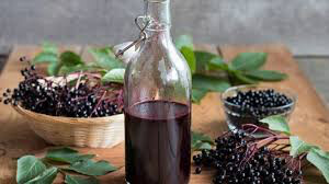 Elderberry Adams  Sambucus canadensis 3 gal.