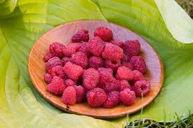 Rubus idaeus &#39;Heritage&#39; 2 gal
