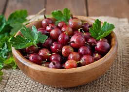 Gooseberry Ribes Hinnomaki Red 3 gal.