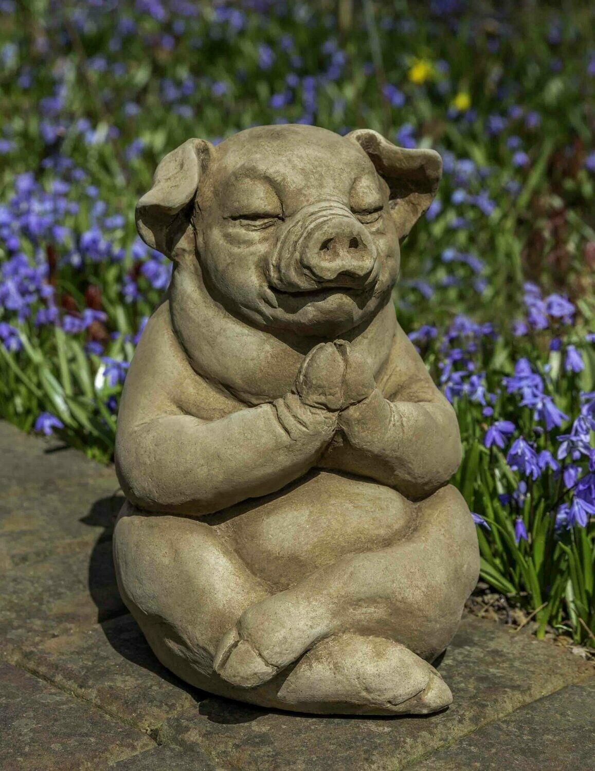 Zen Pig (BR)