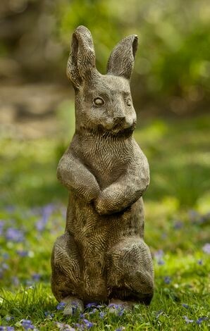 Father Rabbit (BR)