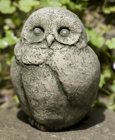 Baby Barn Owl (BR)