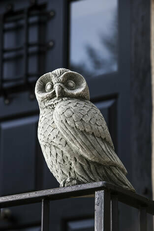 Night Owl (AL)