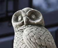 Night Owl (AL)