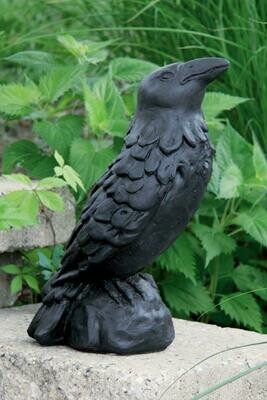 Medium Crow (Blk)