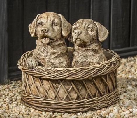 Basket Cases (BR)