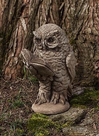 Scholarly Owl (BR)