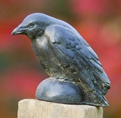 Small Raven (TN)