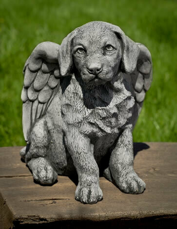 Angel Puppy AS