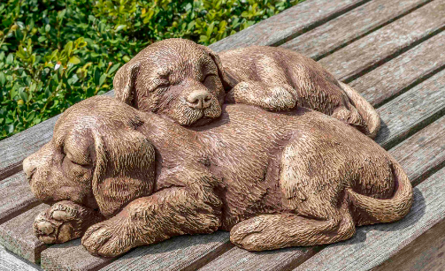 Nap Time Puppies (BR)