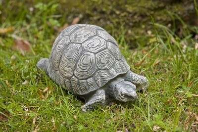 Small Turtle (EM)