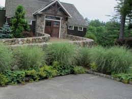 Miscanthus Sinensis `Gracillimus`3 gal.