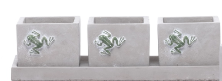 Darwin Frog Square Trio w/ Tray
