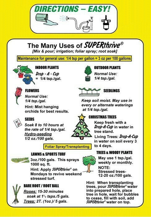 SUPERthrive