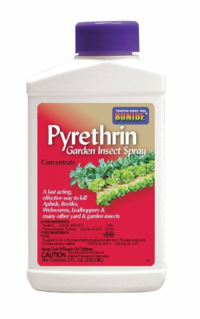 Pyrethrin Garden Insect Spray Concentrate (8 fl oz)
