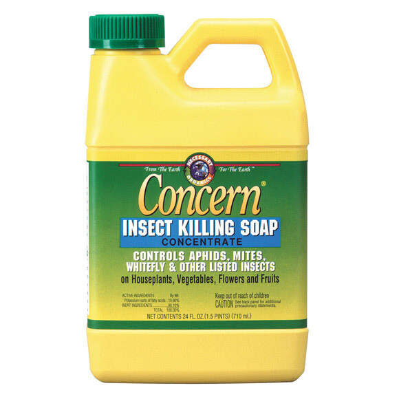 Insect Killing Soap Concentrate Concern