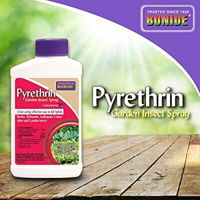 Pyrethrin Garden Insect Spray Concentrate (8 fl oz)