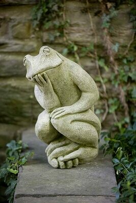 Thinking Frog (GS)