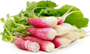 Radish French Breakfast Heritage Seed