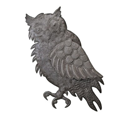 Owl w/ 3D Wing