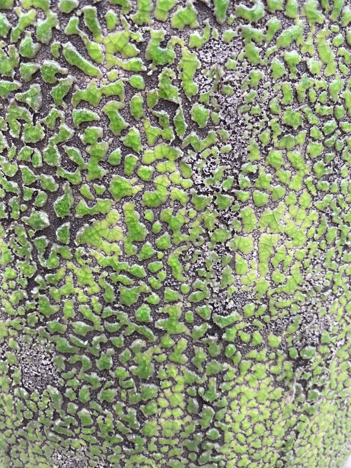 Strata Planter Large