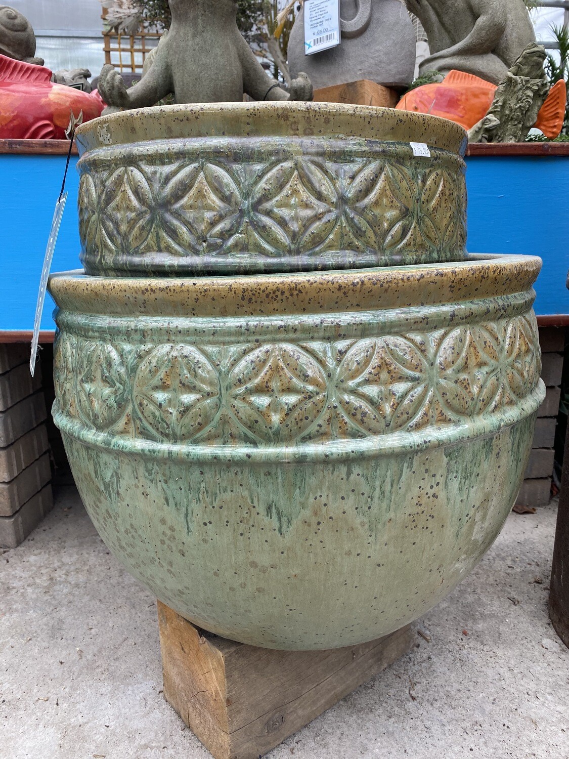 Low Kousa Planter - Tropical Avocado