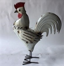 Rooster White