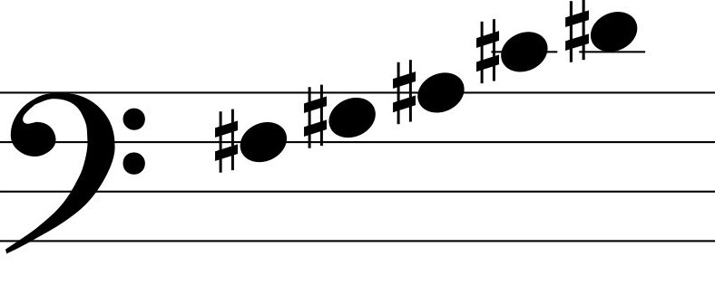 Shenandoah Melodies 64&quot;