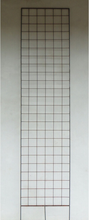 Flat Top Trellis - 8&#39;x2&#39;